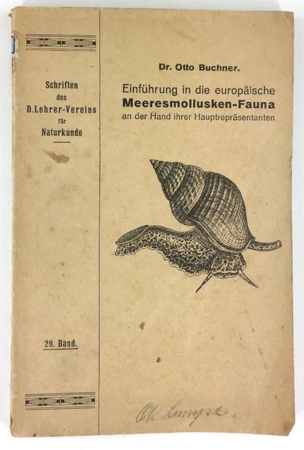 Abbildung von "Einführung in die europäische Meeresmolusken-Fauna an der Hand ihrer Hauptrepräsentanten..."