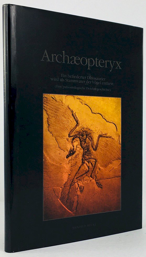 Abbildung von "Archaeopteryx. Ein befiederter Dinosaurier wird als Stammvater der Vögel entlarvt..."