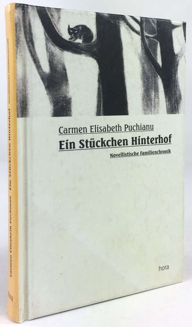Abbildung von "Ein Stückchen Hinterhof. Novellistische Familienchronik."