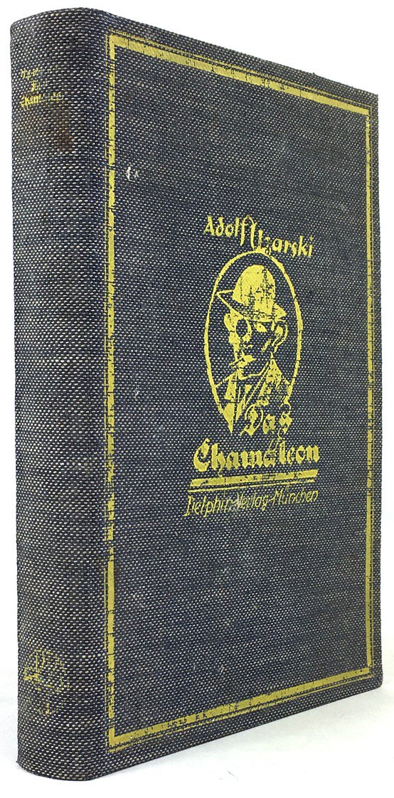 Abbildung von "Das Chamäleon. Ein Heldenbuch. Geschrieben und illustriert. "