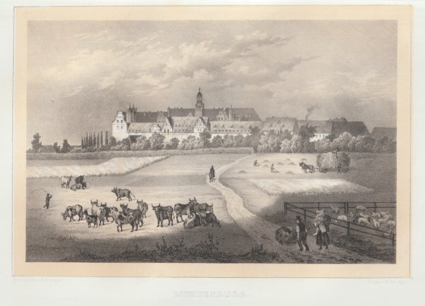 Abbildung von "Lichtenburg. (Rinderherde und Schafe im Vordergrund). "