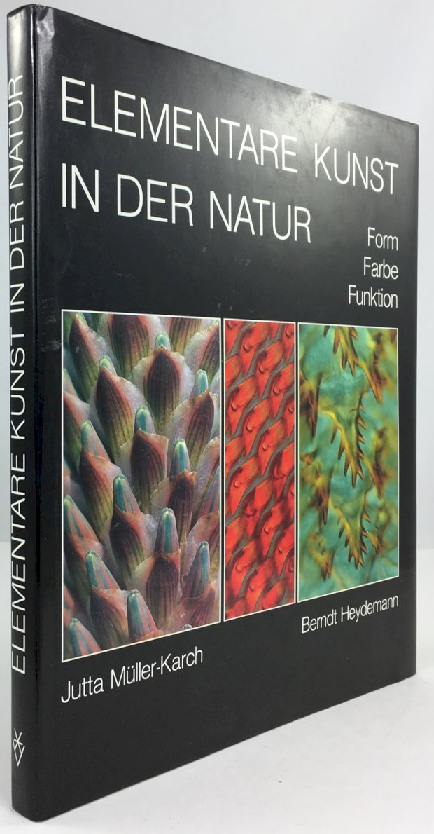 Abbildung von "Elementare Kunst in der Natur. Form - Farbe - Funktion."