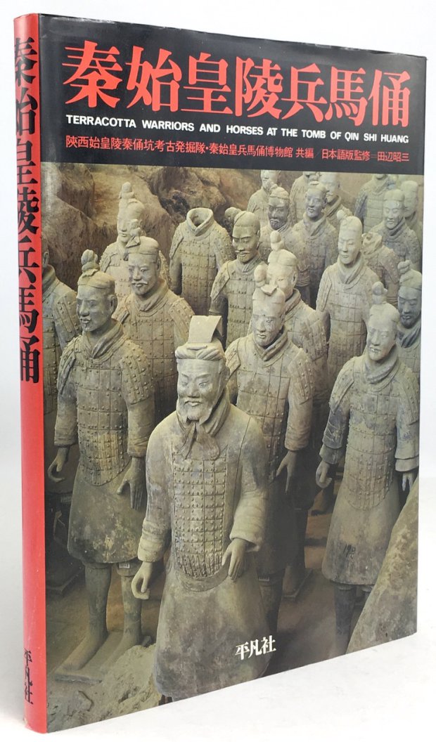 Abbildung von "Terracotta Warriors and Horses at the Tomb of Qin Shi Huang."