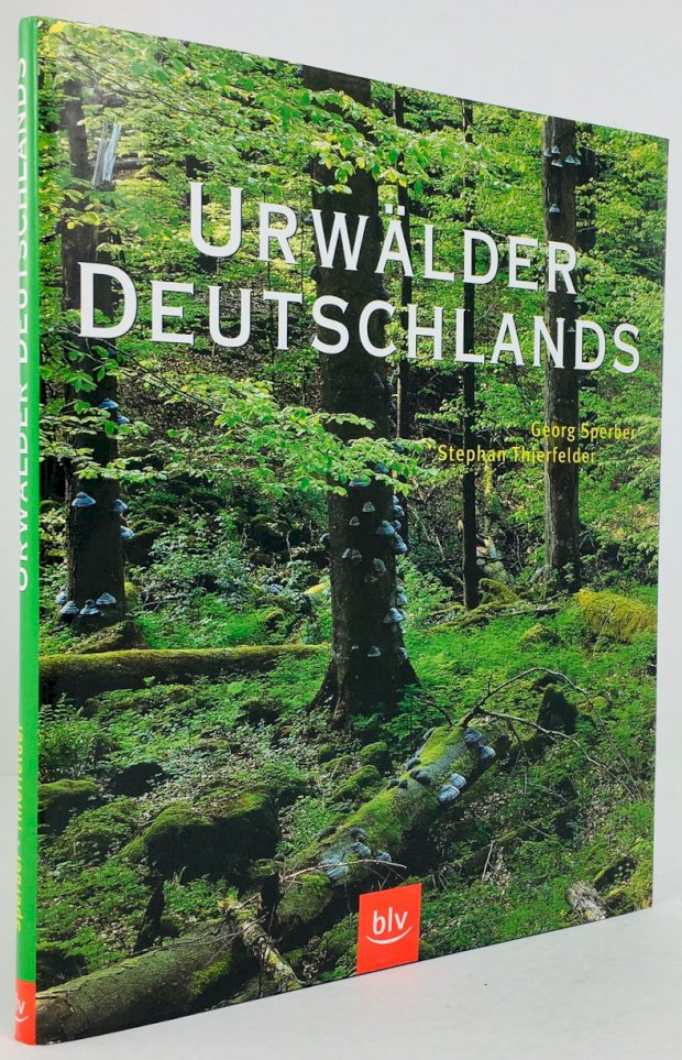 Abbildung von "Urwälder Deutschlands."