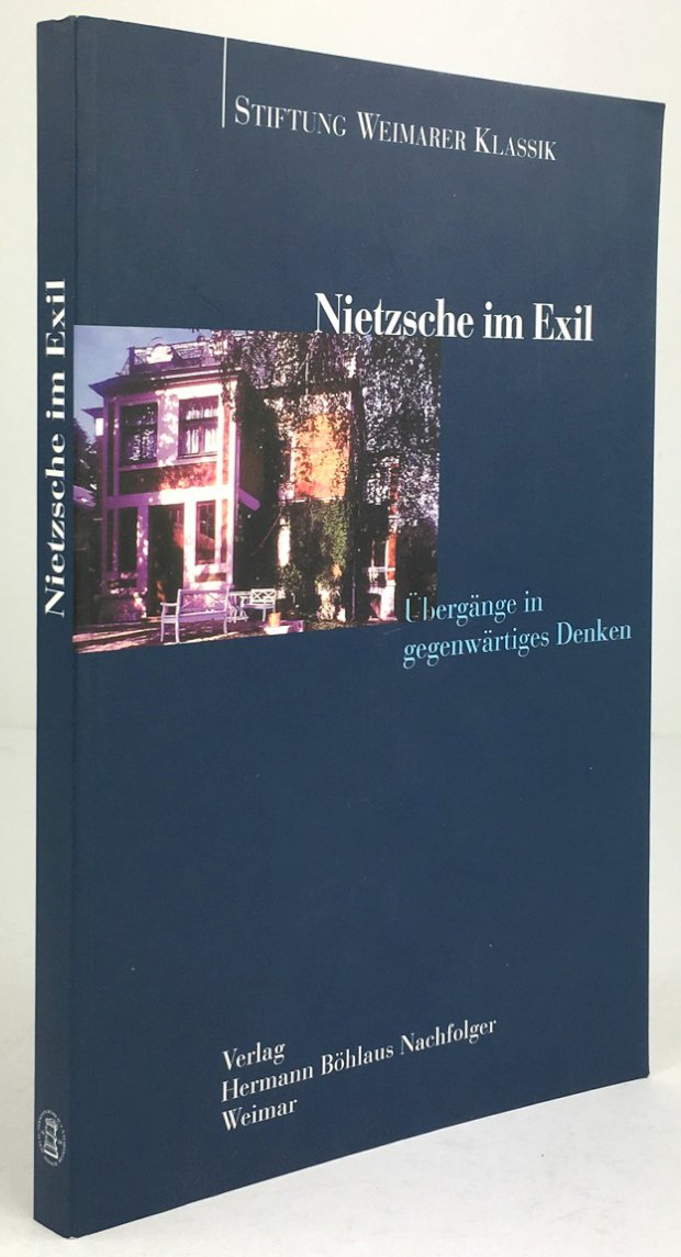 Abbildung von "Nietzsche im Exil. Übergänge in gegenwärtiges Denken."