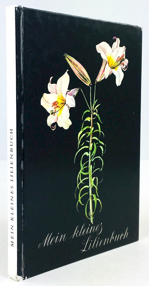 Abbildung von "Mein kleines Lilienbuch. Illustriert von Mila Lippmann-Pawlowski."
