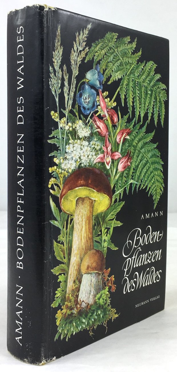 Abbildung von "Bodenpflanzen des Waldes. Taschenbildbuch der beachtenswertesten Pilze, Flechten, Moose, Farnpflanzen,..."