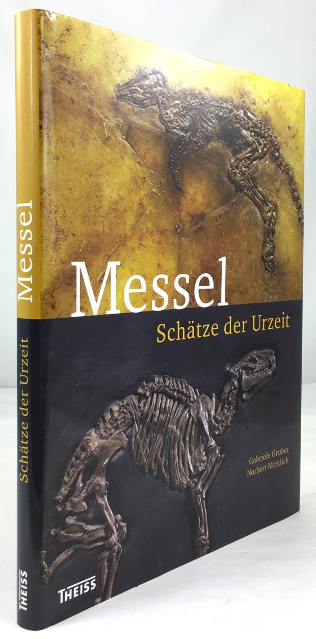 Abbildung von "Messel. Schätze der Urzeit."