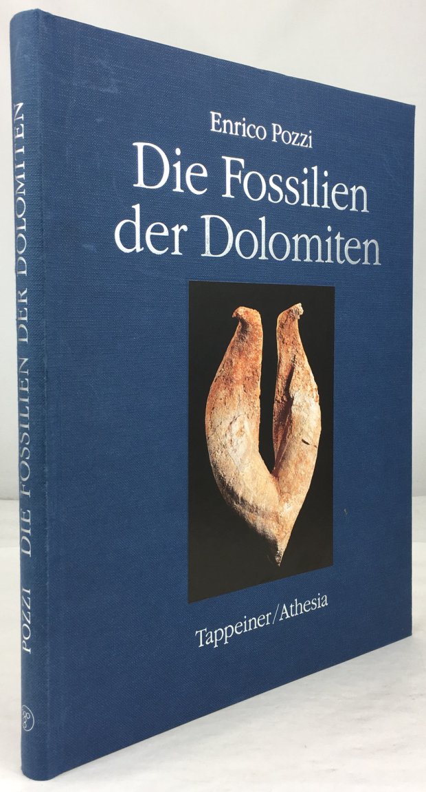 Abbildung von "Die Fossilien der Dolomiten. Aus dem Italienischen übertragen und ergänzt von Christian Aspmair."