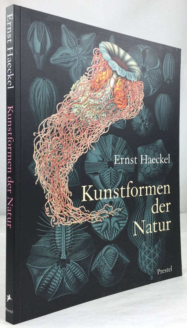 Abbildung von "Kunstformen der Natur. Die einhundert Farbtafeln. Mit einem Geleitwort von Richard P. Hartmann und Beiträgen von Olaf Breidbach und Irenäus Eibl-Eibesfeldt."