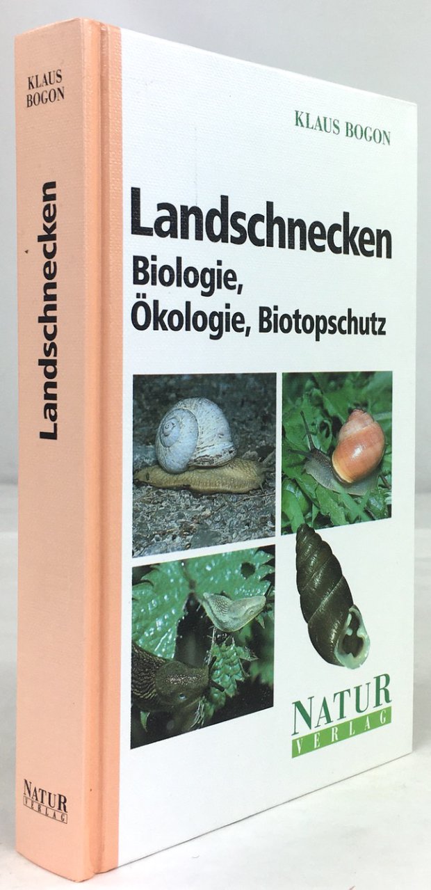 Abbildung von "Landschnecken. Biologie - Ökologie - Biotopschutz."