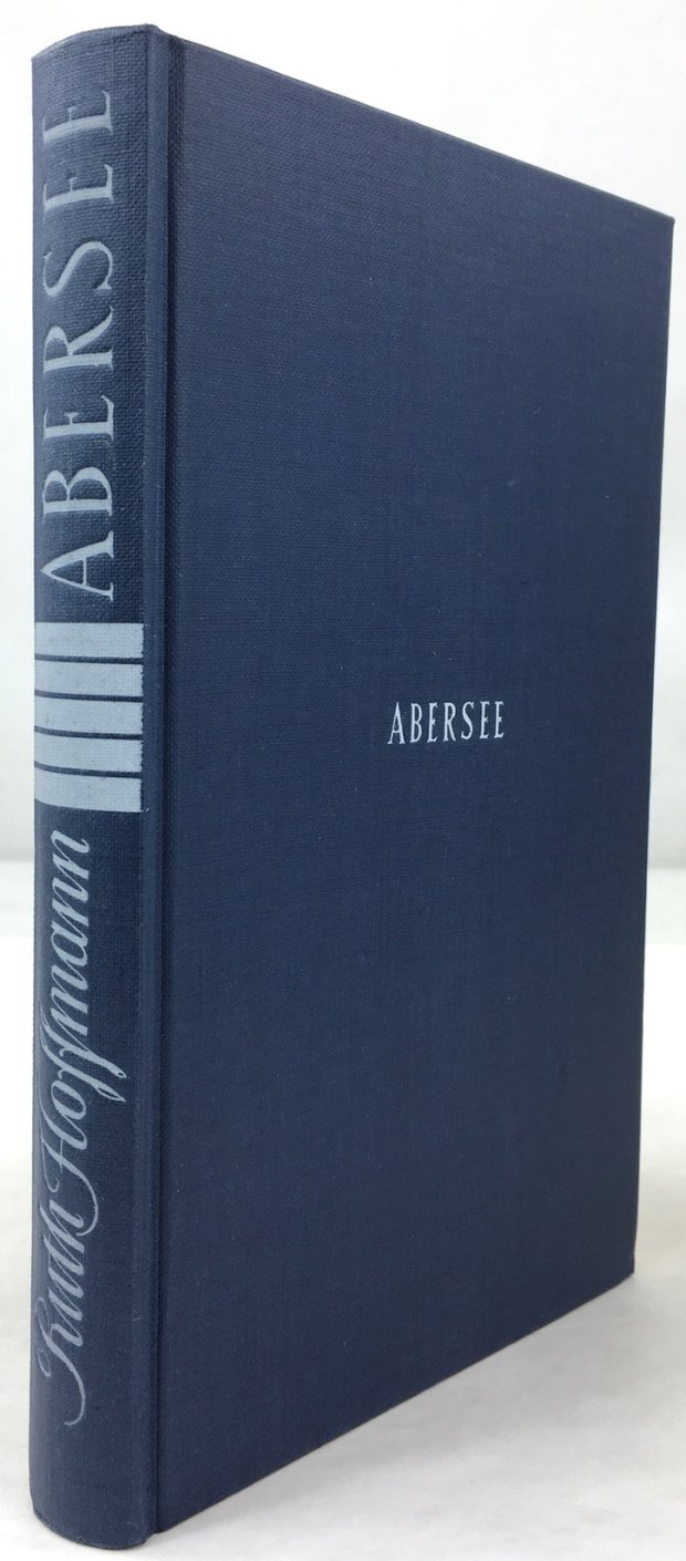 Abbildung von "Abersee oder die Wunder der Zuflucht. Roman."