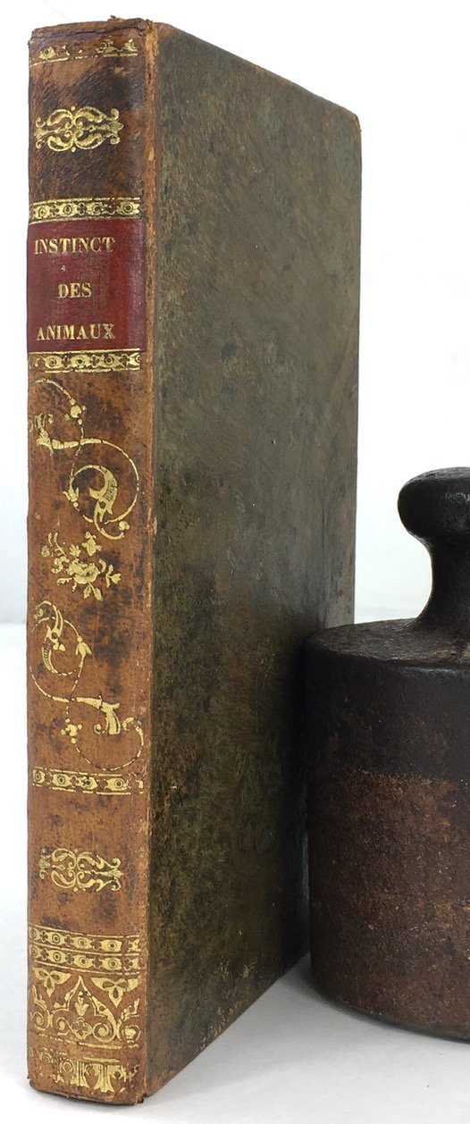Abbildung von "Instinct, moeurs et sagacité des Animaux ou Lettres de Deux Amis sur l'Histoire Naturelle..."