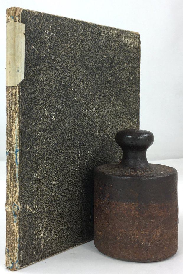 Abbildung von "Antiqvitates in Nordgavia Romanae, Oder Genäuere Vorstellung Des alten Römischen Valli und Land-Wehre; Der Pfahl,..."