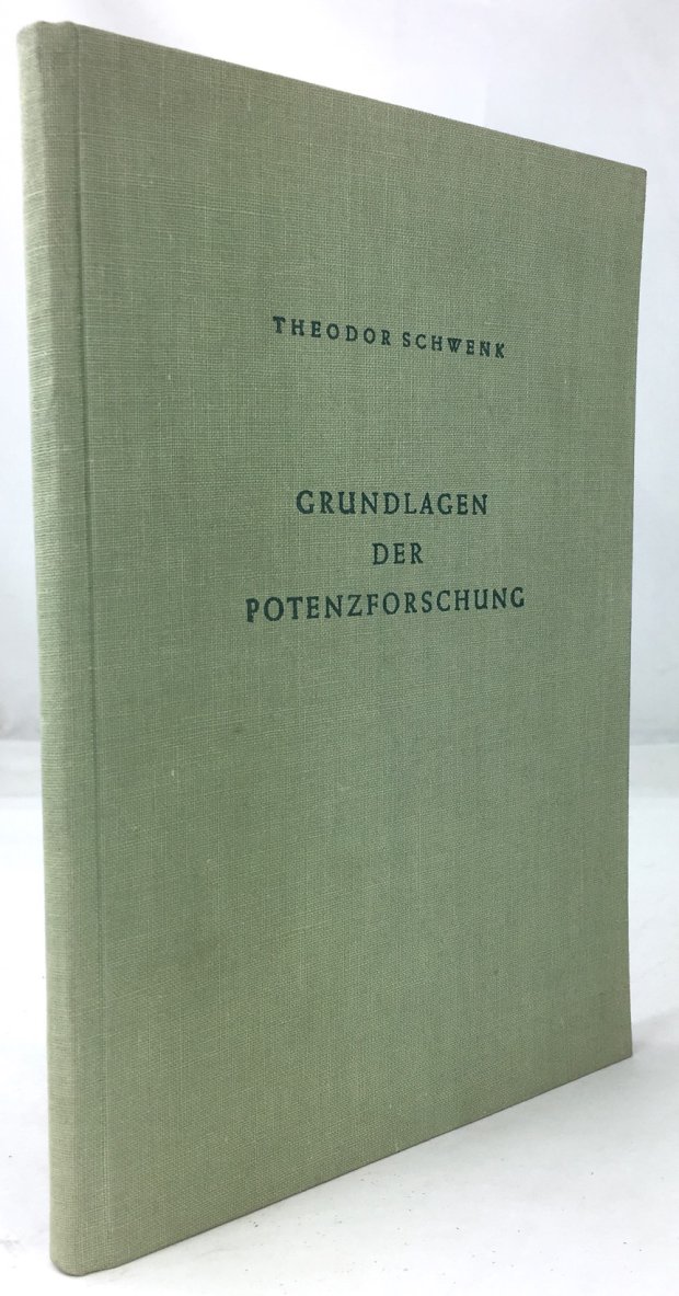 Abbildung von "Grundlagen der Potenzforschung."