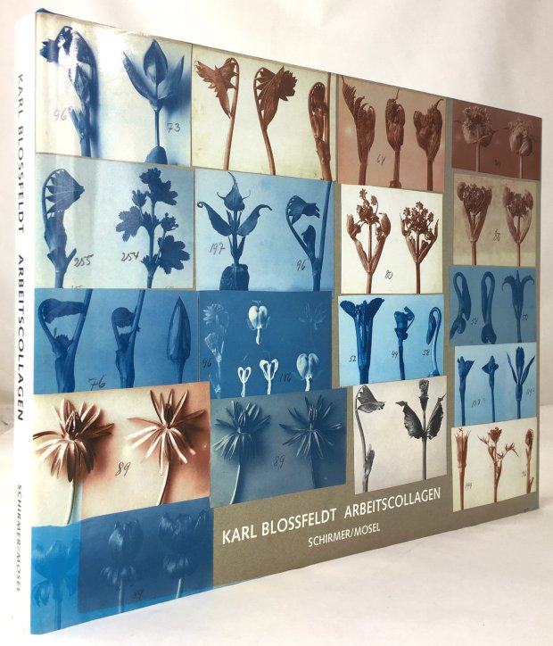 Abbildung von "Karl Blossfeldt. Arbeitscollagen. Mit einem Text von Ulrike Meyer Stump."