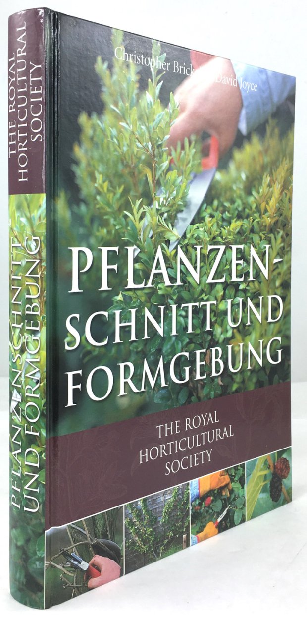 Abbildung von "The Royal Horticultural Society. Pflanzenschnitt und Formgebung."