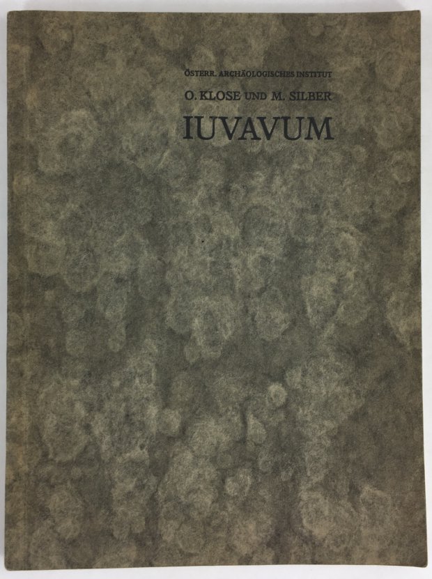 Abbildung von "Iuvavum. F&uuml;hrer durch die Altertums-Sammlungen des Museums Carolino-Augusteum in Salzburg."