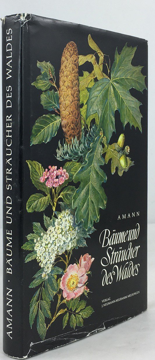 Abbildung von "B&auml;ume und Str&auml;ucher des Waldes. Taschenbildbuch der Nadeln und Bl&auml;tter,..."