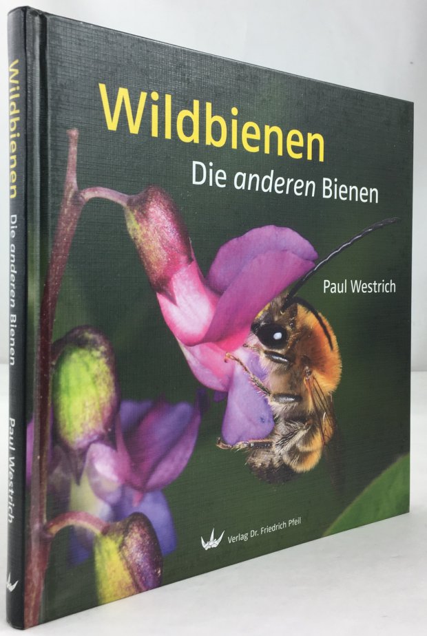 Abbildung von "Wildbienen. Die anderen Bienen. 5. Aufl."