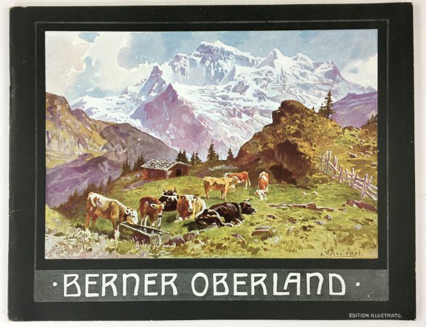 Abbildung von "Berner Oberland. Souvenir - Album mit 40 Ansichten. Titel dreisprachig."
